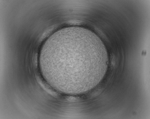 X0000112730494200909101455