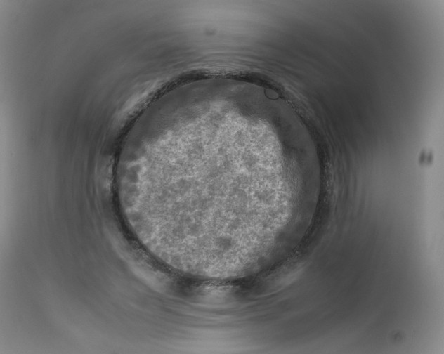 X0000112730495200909101455