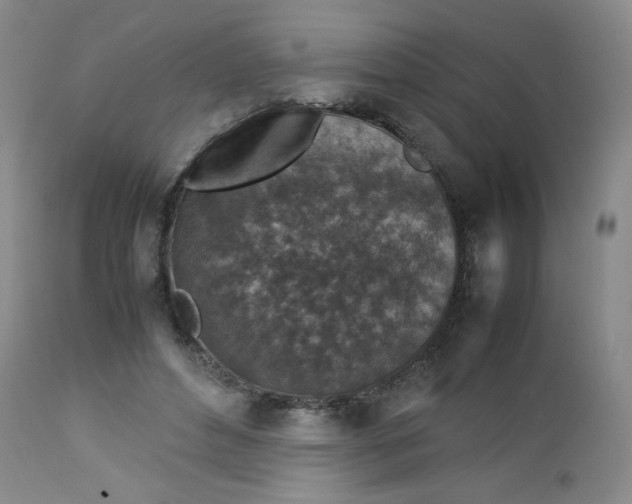 X0000112730496200909101455