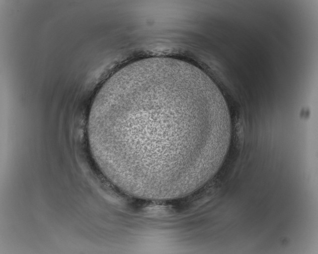 X0000112730499200909101455