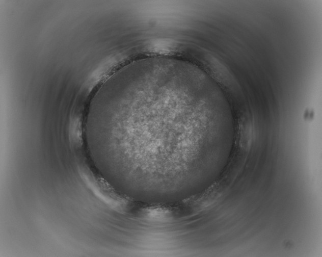 X0000112730500200909101455