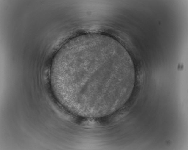 X0000112730503200909101455