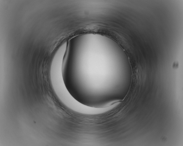 X0000112730504200909101455