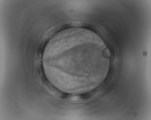 X0000112730507200909101455