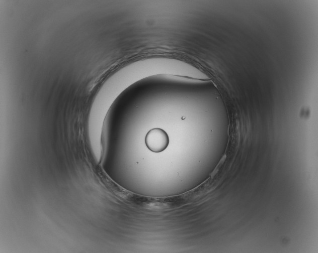 X0000112730508200909101455