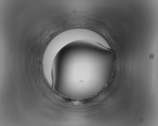 X0000112730509200909101455