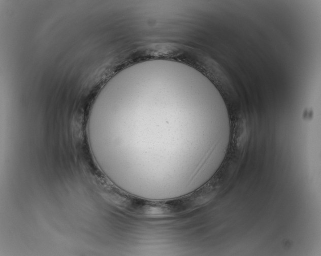 X0000112730510200909101455