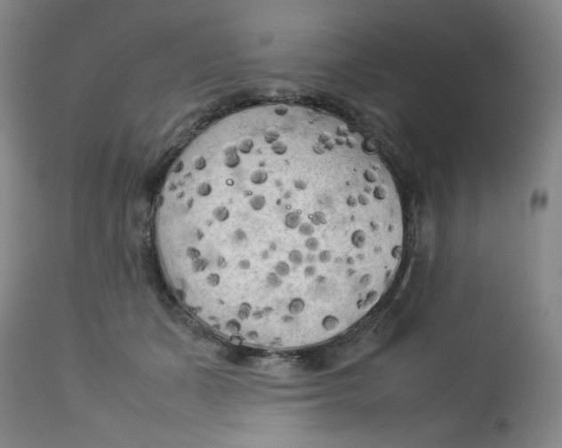 X0000112730511200909101455