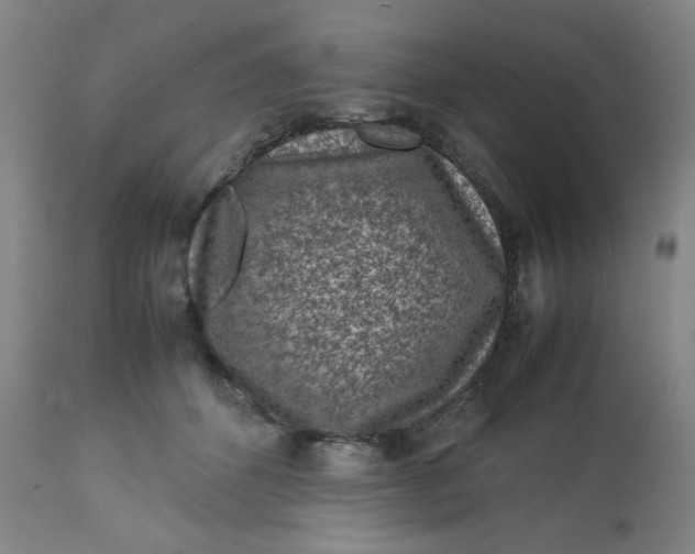 X0000112730512200909101455