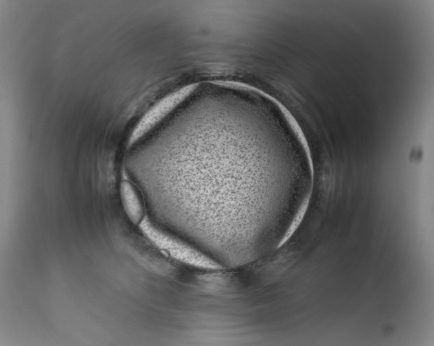 X0000112730516200909101455