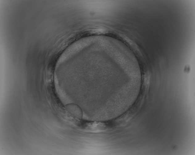 X0000112730517200909101455