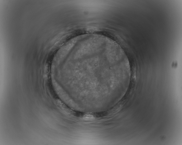 X0000112730519200909101455