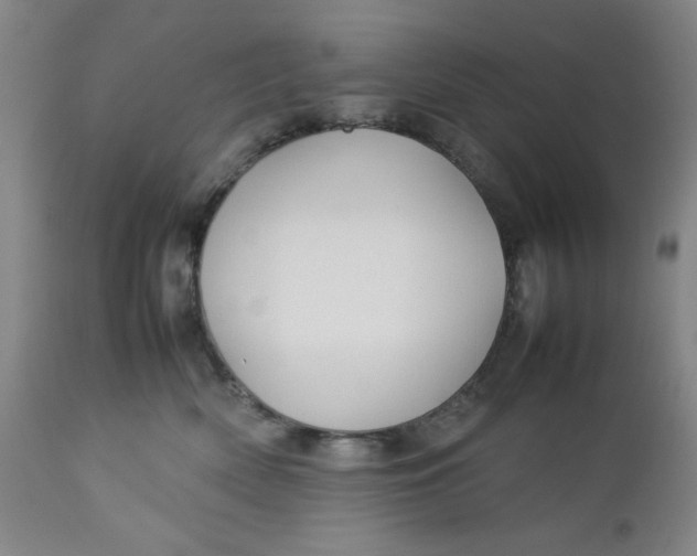 X0000112730522200909101455