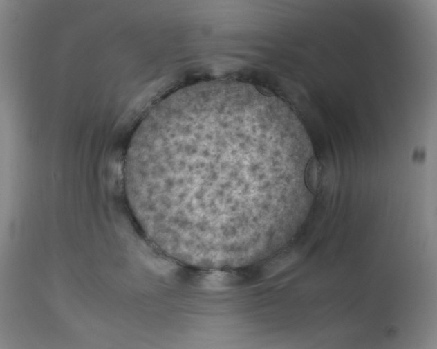 X0000112730527200909101455