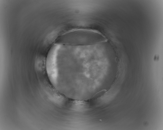 X0000112730528200909101455