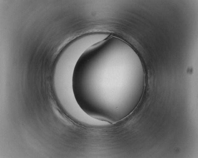 X0000112730530200909101454