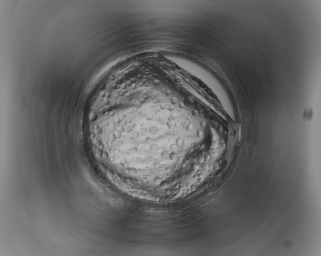 X0000112730531200909101454