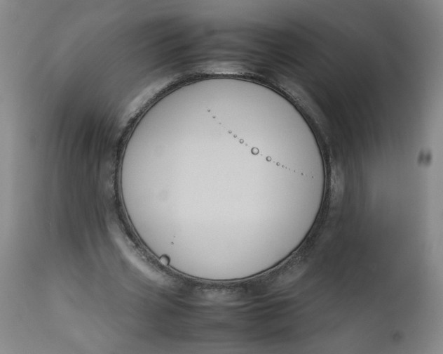 X0000112730533200909101454