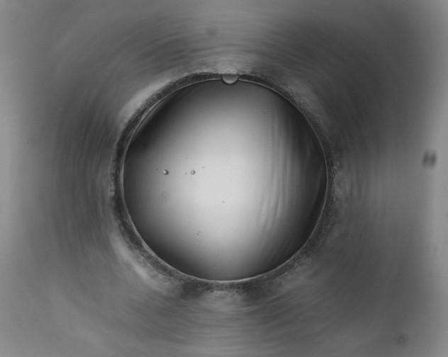 X0000112730536200909101454