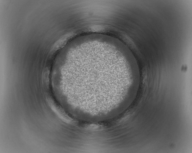 X0000112730542200909101454