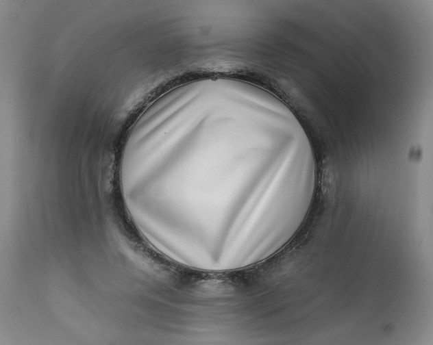 X0000112730544200909101454