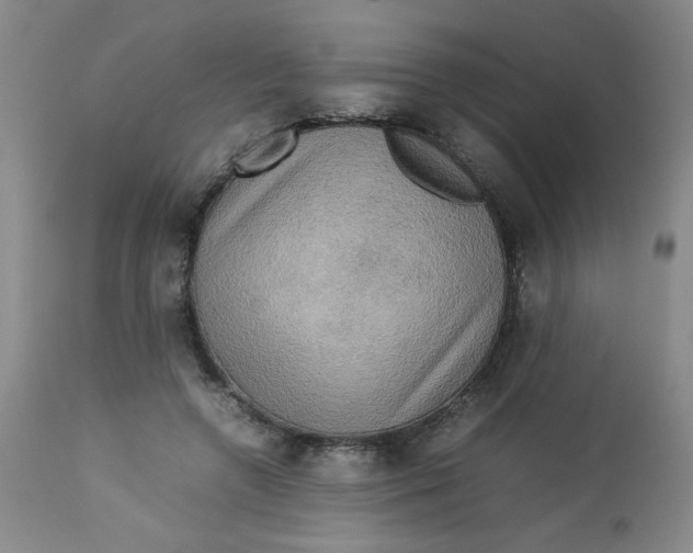 X0000112730546200909101454