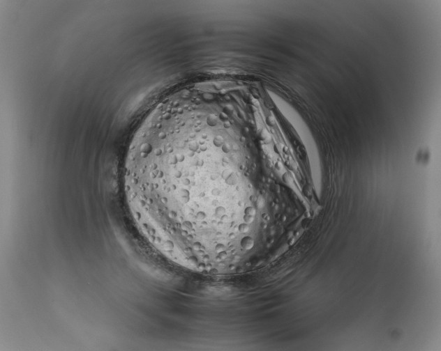 X0000112730547200909101454