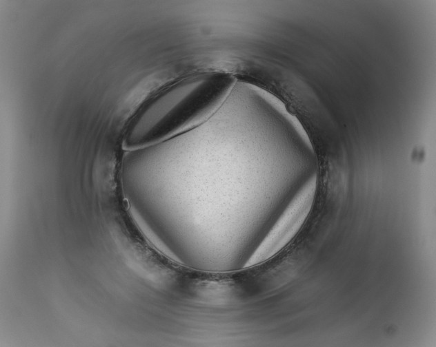 X0000112730548200909101454