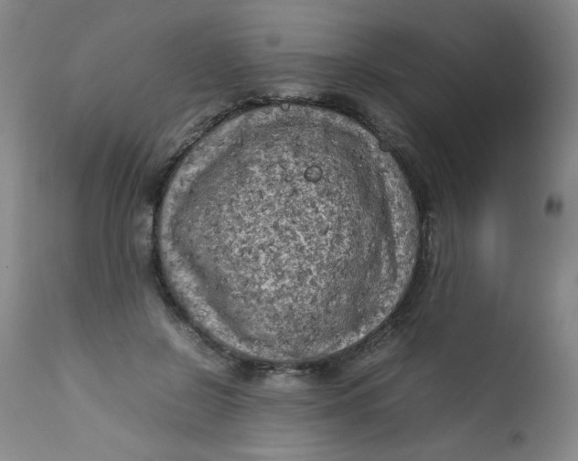 X0000112730550200909101454