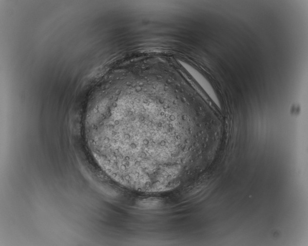 X0000112730551200909101454