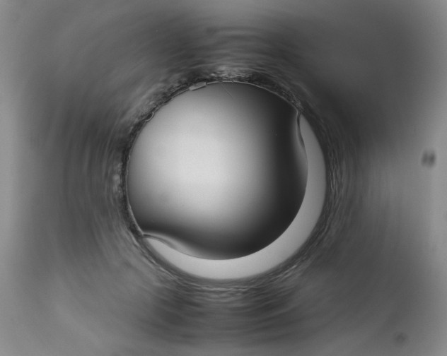 X0000112730553200909101454