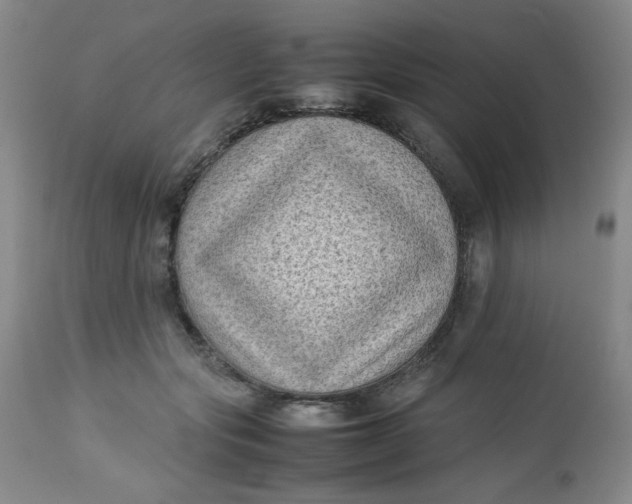 X0000112730557200909101454