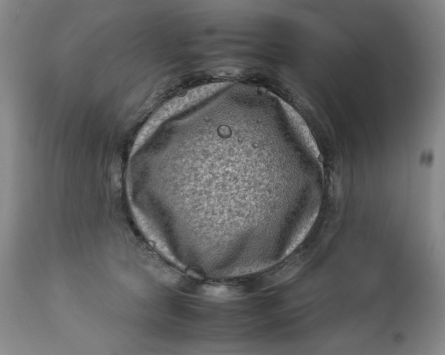 X0000112730561200909101454