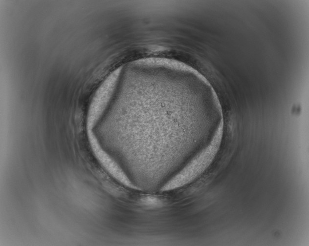 X0000112730565200909101454