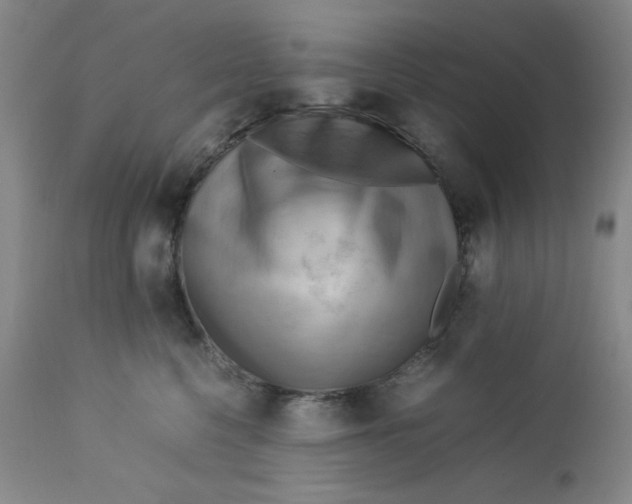 X0000112730568200909101454