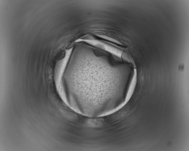 X0000112730571200909101455