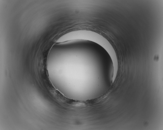 X0000112730572200909101455