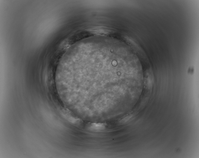 X0000112730573200909101455