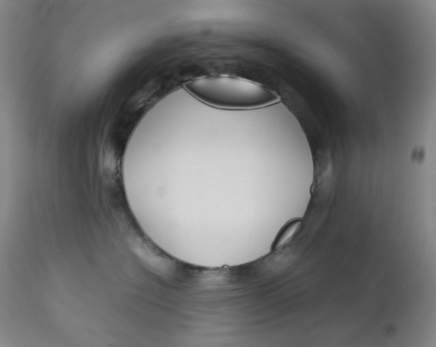 X0000112730574200909101455