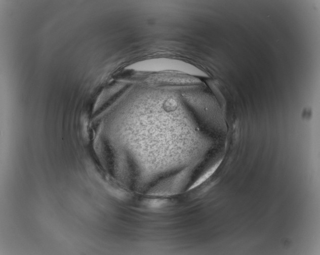 X0000112730575200909101455