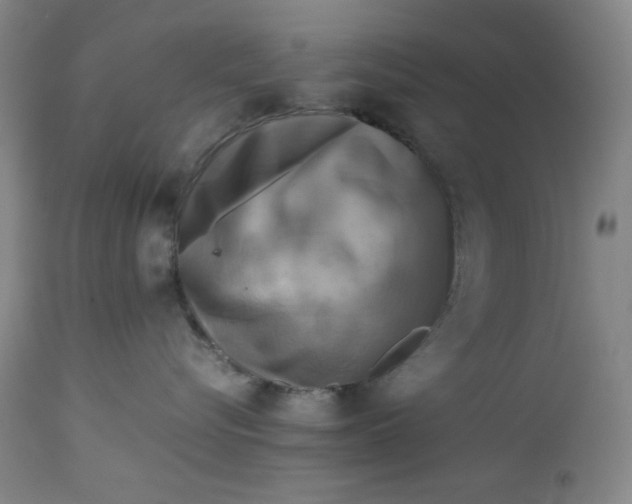 X0000112730576200909101455