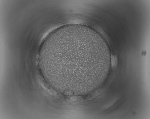 X0000112730579200909101454