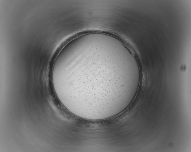 X0000112730580200909101454