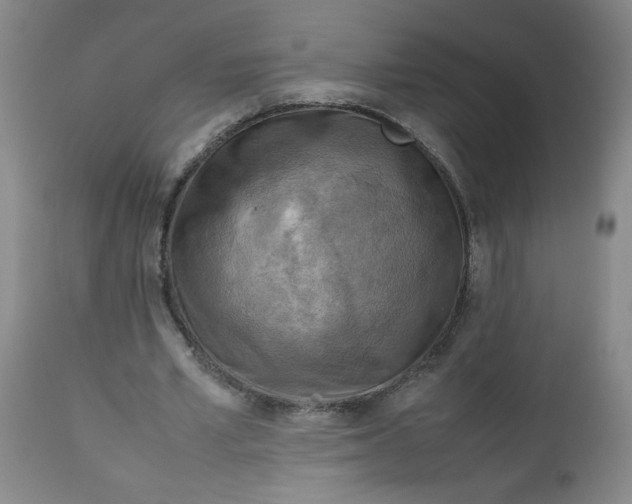 X0000112730581200909101454