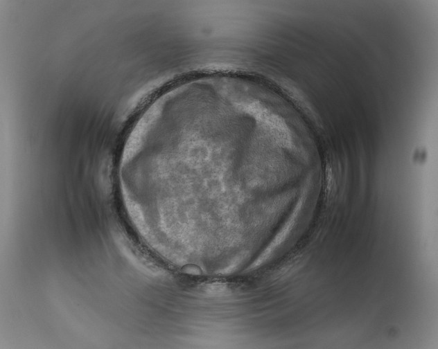 X0000112730588200909101454