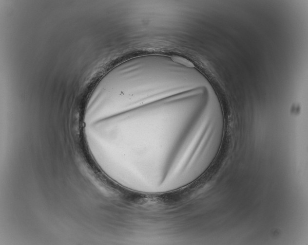 X0000112730589200909101454