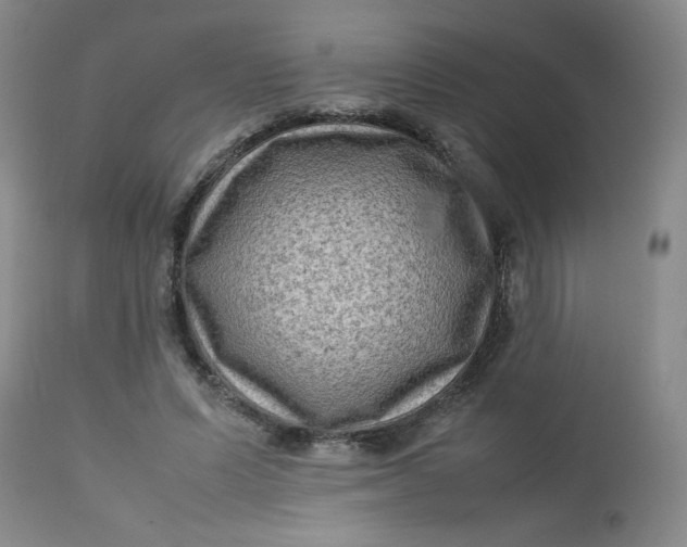 X0000112730591200909101454