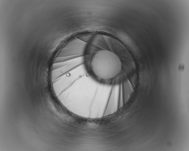 X0000112730592200909101453