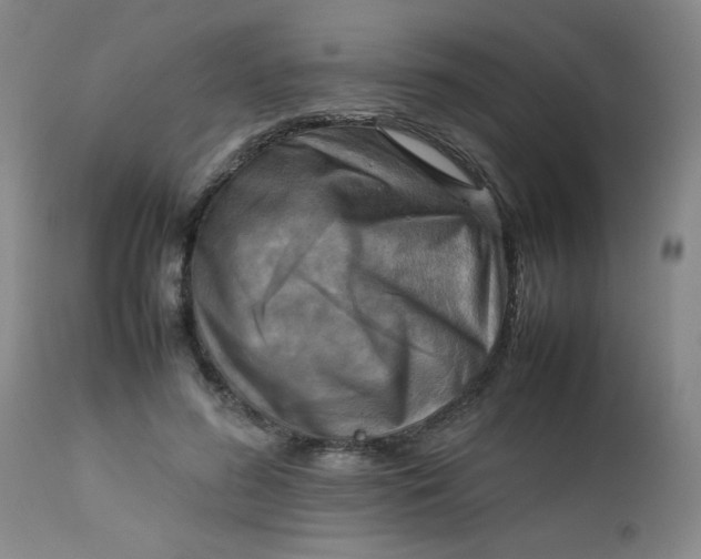 X0000112730596200909101453