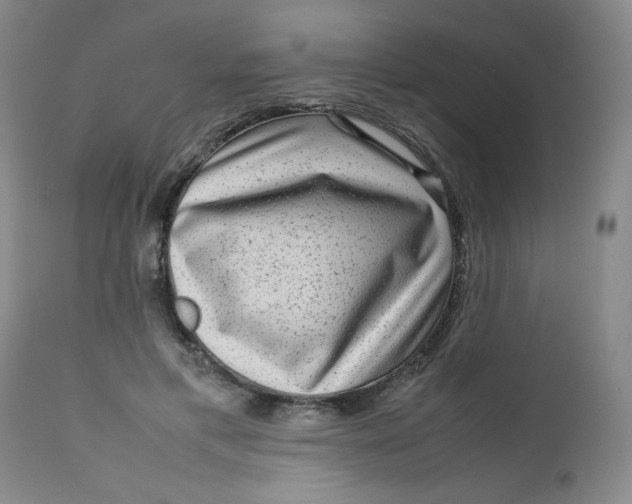 X0000112730597200909101453